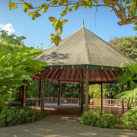 Tropical Escape Villa Ocho Rios Eksteriør billede
